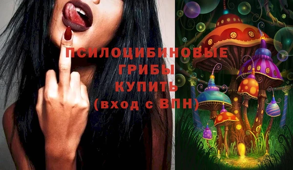 кокс Михайлов