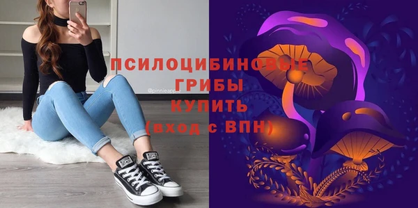 кокс Михайлов