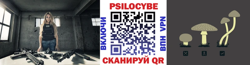 Галлюциногенные грибы мицелий  Купить где  Ельня 